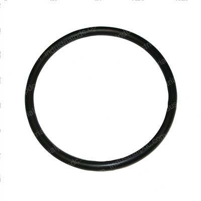 Picture of O-Ring