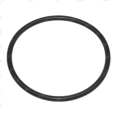 Picture of O-Ring