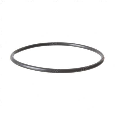 Picture of O-Ring