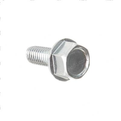 Picture of Screw