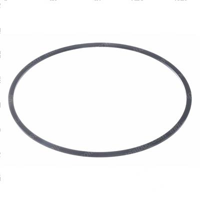 Picture of Backup Ring 443