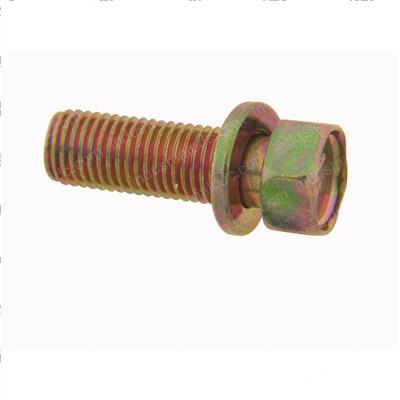 Picture of Bolt W/ Washer