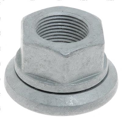 Picture of Nut