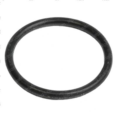 Picture of O-Ring