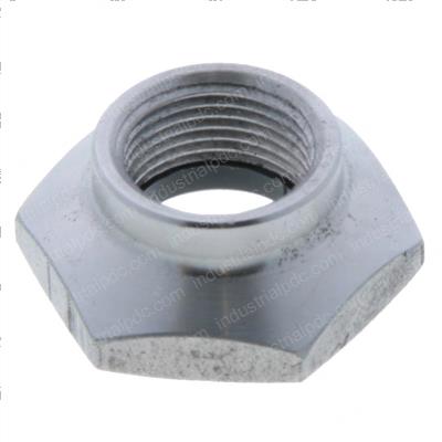Picture of Nut - Special