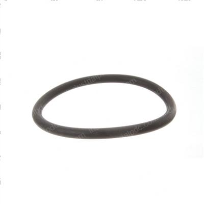 Picture of O-Ring