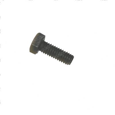 Picture of Bolt