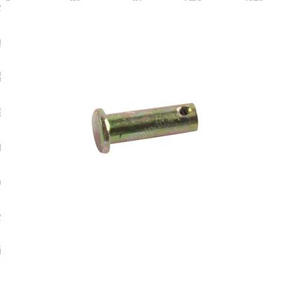 Picture of Pin