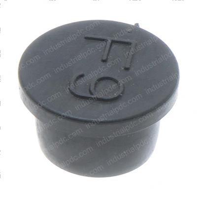 Picture of Plug