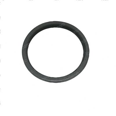 Picture of Seal
