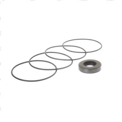 Picture of Seal Kit