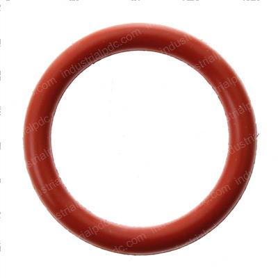Picture of O-Ring