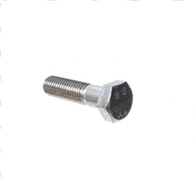 Picture of Bolt