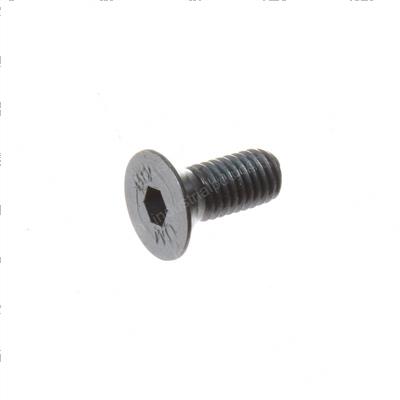 Picture of Screw