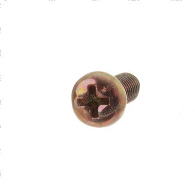 Picture of Screw
