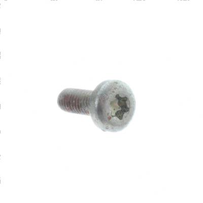 Picture of Screw-Mach-Pan-Torx-Zp T-25