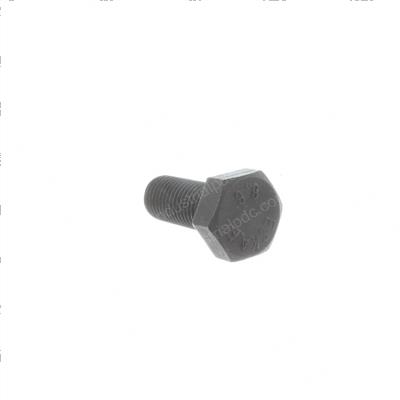 Picture of Bolt - Hex Head