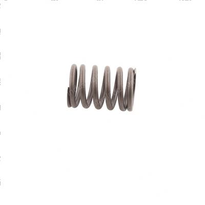 Picture of Spring - Valve