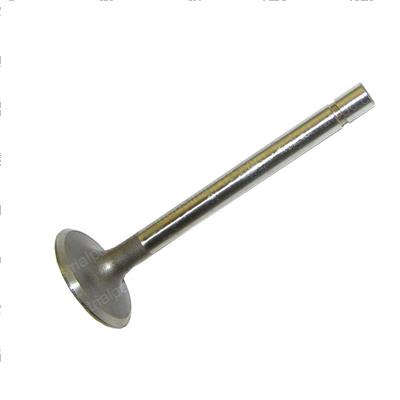 Picture of Valve - Intake