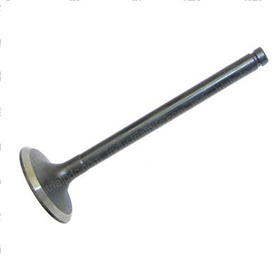 Picture of Valve - Intake