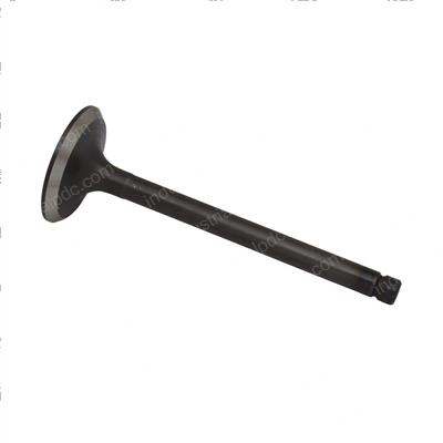 Picture of Valve - Intake