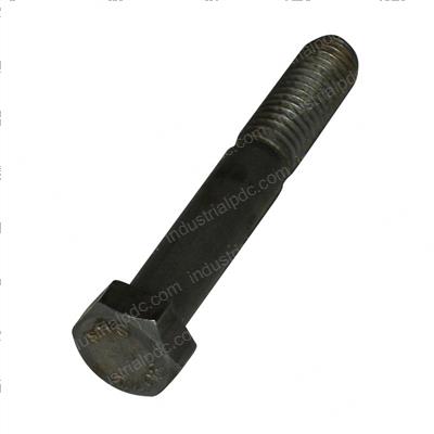 Picture of Bolt