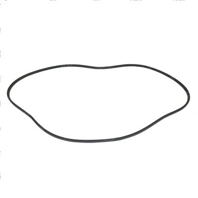 Picture of Belt