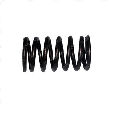 Picture of Spring - Valve Inner
