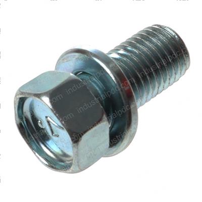 Picture of Bolt