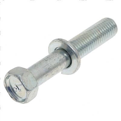 Picture of Bolt