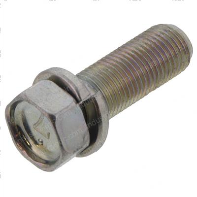 Picture of Bolt