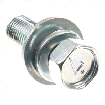 Picture of Sems Bolt