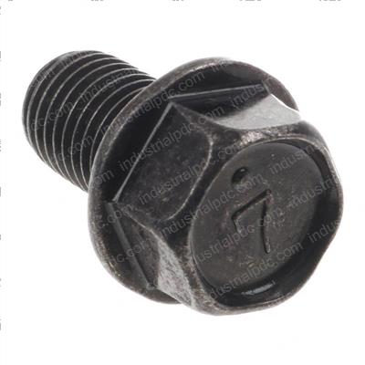 Picture of Bolt