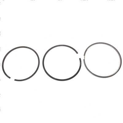 Picture of Ring Assembly