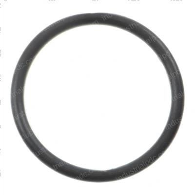 Picture of O-Ring