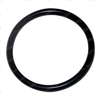 Picture of O-Ring