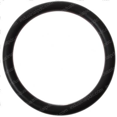 Picture of O-Ring