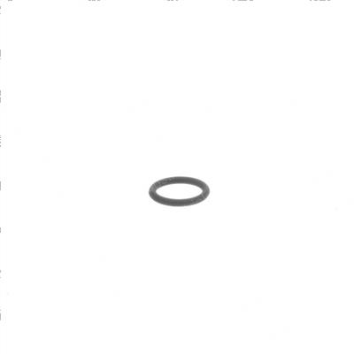 Picture of O-Ring