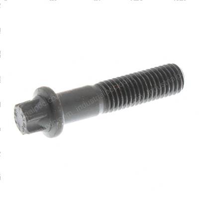 Picture of Bolt