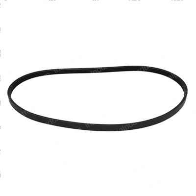 Picture of Ribbed Belt