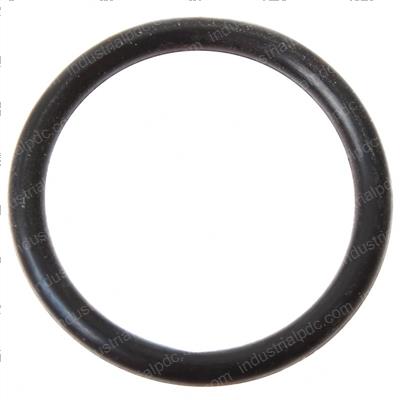 Picture of O-Ring