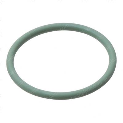 Picture of O-Ring