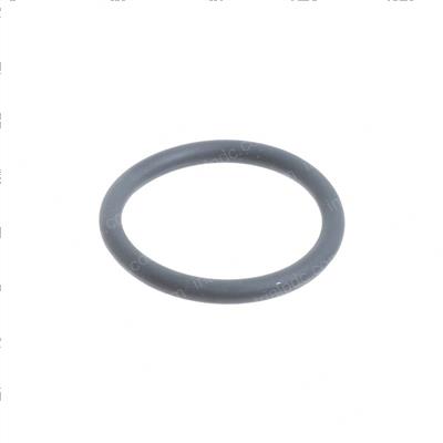 Picture of O-Ring