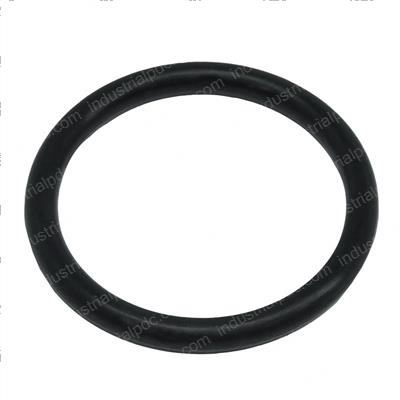 Picture of O-Ring