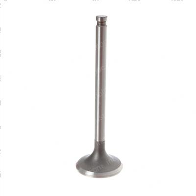 Picture of Valve - Exhaust