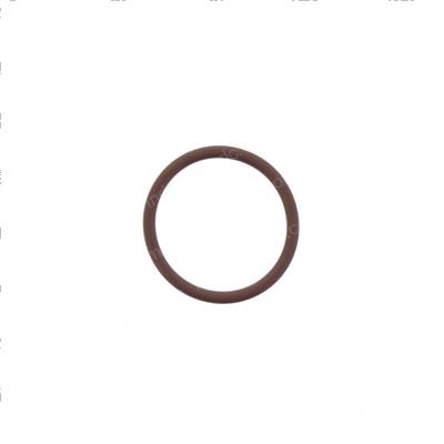 Picture of O-Ring