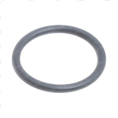 Picture of O-Ring