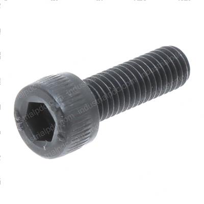 Picture of Bolt