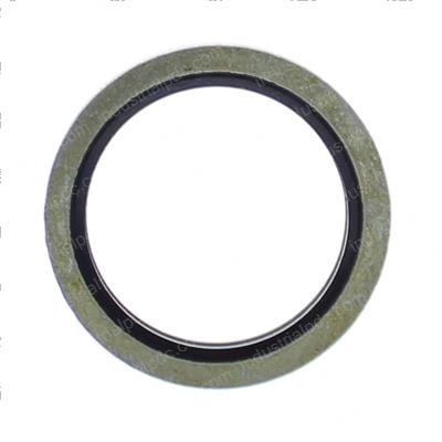 Picture of Washer - Bonded 1/2 Bsp