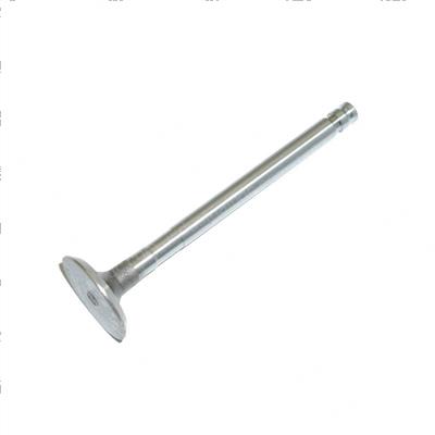 Picture of Valve Exhaust